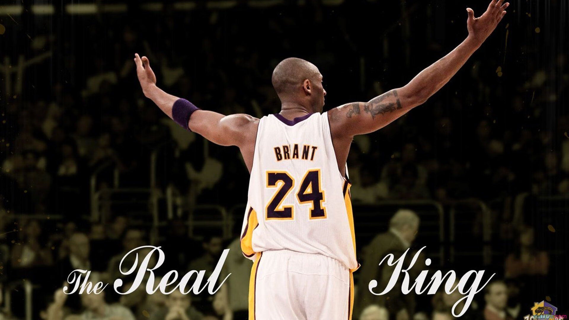 2026世界杯：场馆科技融合，打造未来足球新地标！，2026年世界杯48支球队